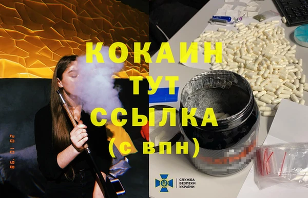 дмт Арсеньев